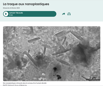 Image2
