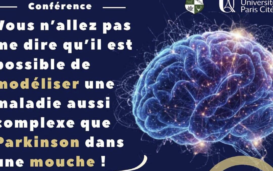 Vous n’allez pas me dire qu’il est possible de modéliser une maladie aussi complexe que Parkinson dans une mouche !